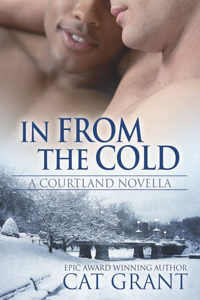 InFromTheCold_1400x2100