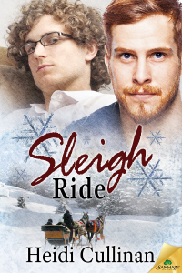 SleighRide300