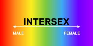 Intersex2