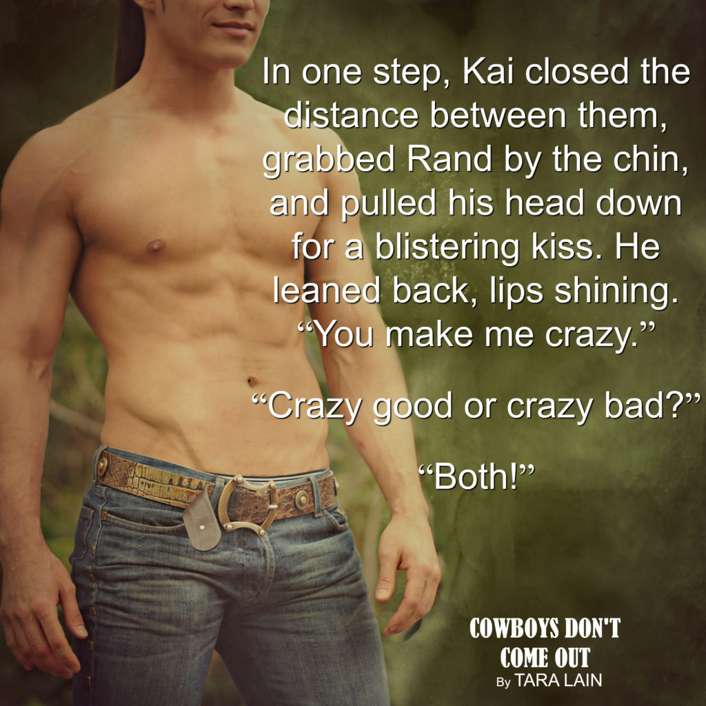 Blog Tour: Guestpost, Excerpt & Giveaway Tara Lain - Cowboys Don't Come ...