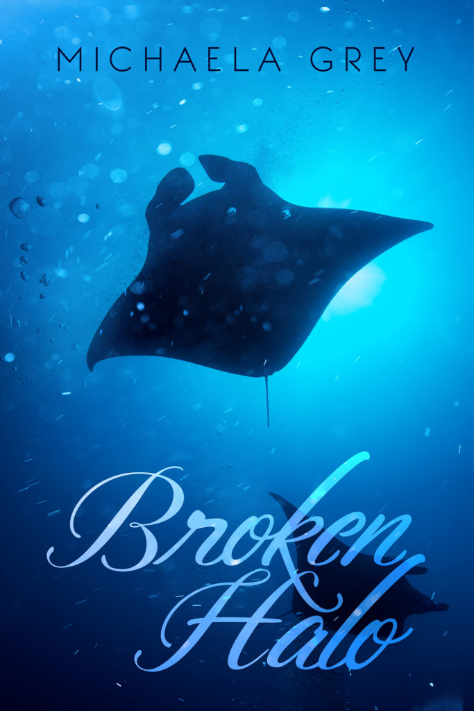 BrokenHaloFS_v1