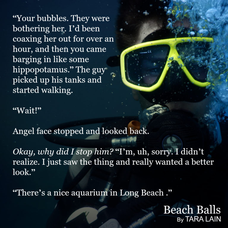 beachGraphic Teaser #2 Beach Balls by Tara Lain