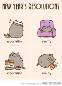 funny-new-years-resolution-cute-cat