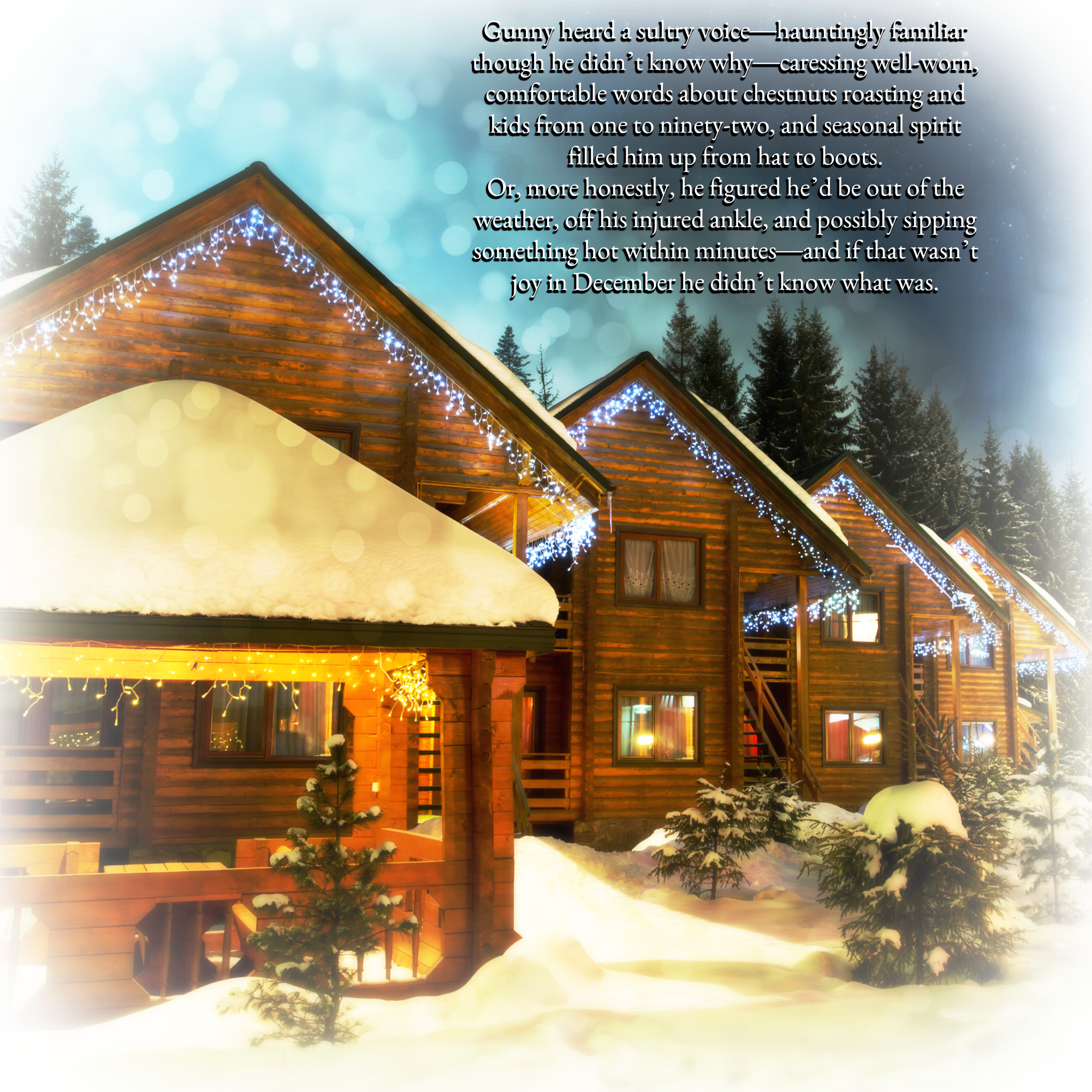 holiday home hotel graphic and text gunny sees lights