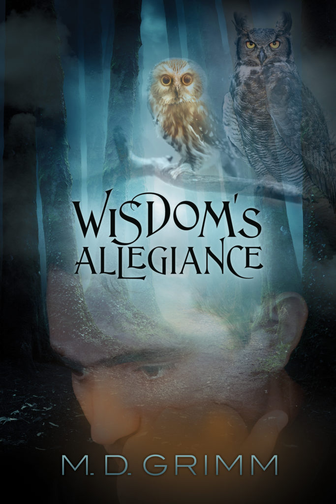 WisdomsAllegianceFS_v1