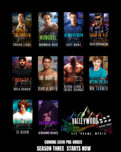 VALLEYWOOD SERIES SEASON 3